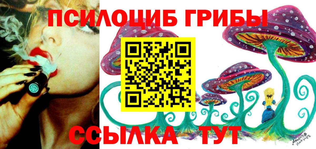 Электрогорск  Галлюциногенные грибы MAGIC MUSHROOMS  Псилоцибиновые грибы MAGIC MUSHROOMS  Вход с VPN 
